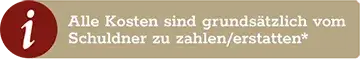 Alle Kosten sind grundsätzlich vom Schuldner zu zahlen/erstatten*